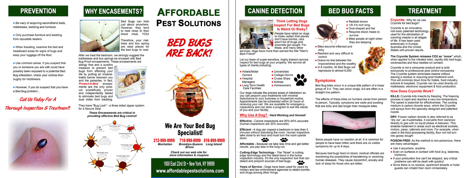 Bed Bugs Pest Solutions