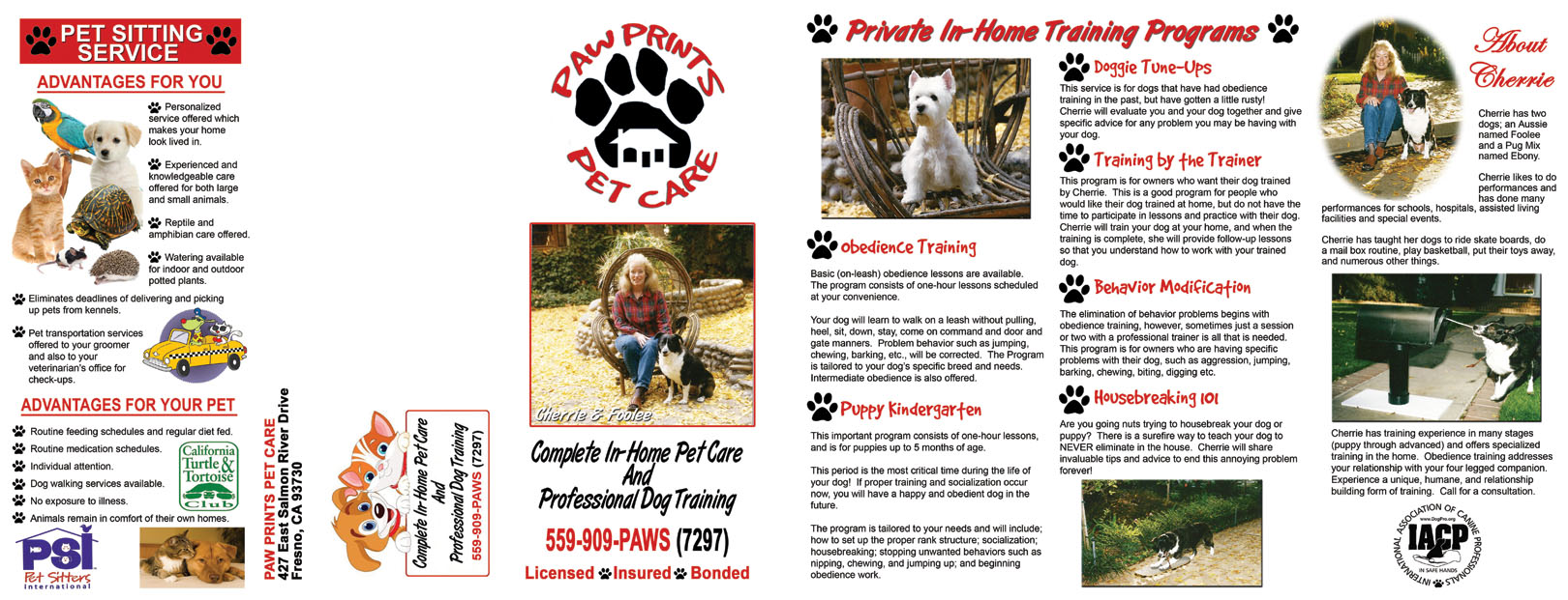 Brochure Cover For Pet Service Providers