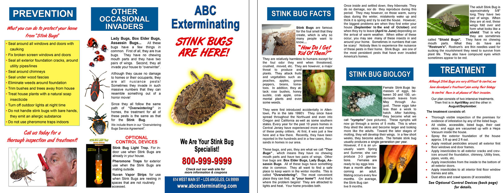 Brochure Stink Bugs