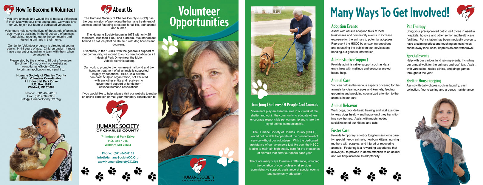 Pet Service Brochure Designs